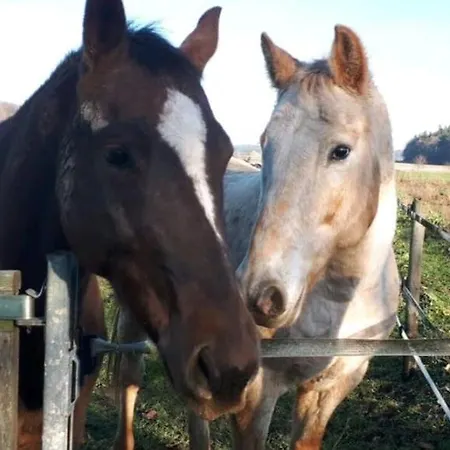Ferienhaus-petertilo Zirkow