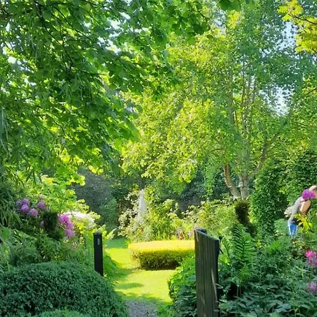 度假居 Ferienhaus-petertilo